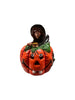 Witch pumpkin 2